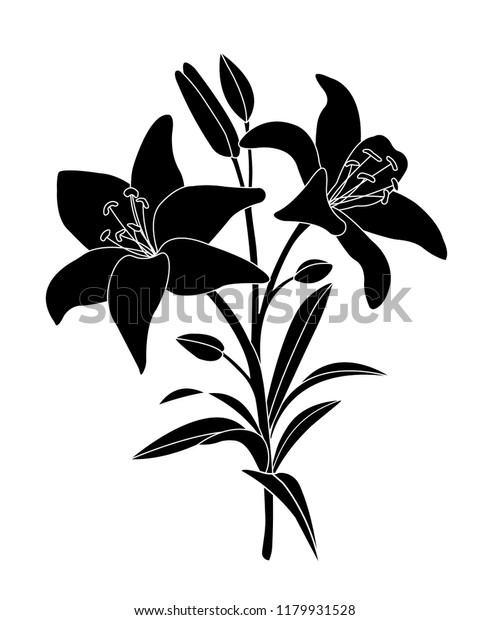 Detail Bunga Lily Vector Nomer 5