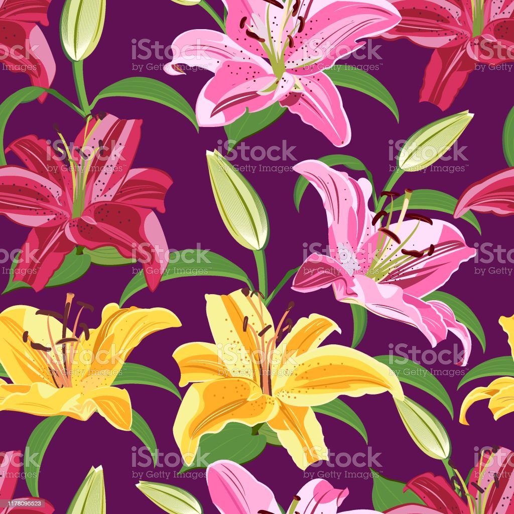Detail Bunga Lily Vector Nomer 39