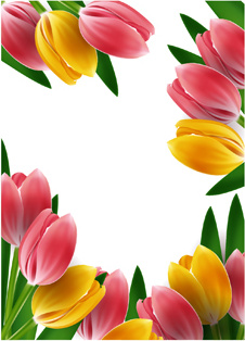 Detail Bunga Lily Vector Nomer 40