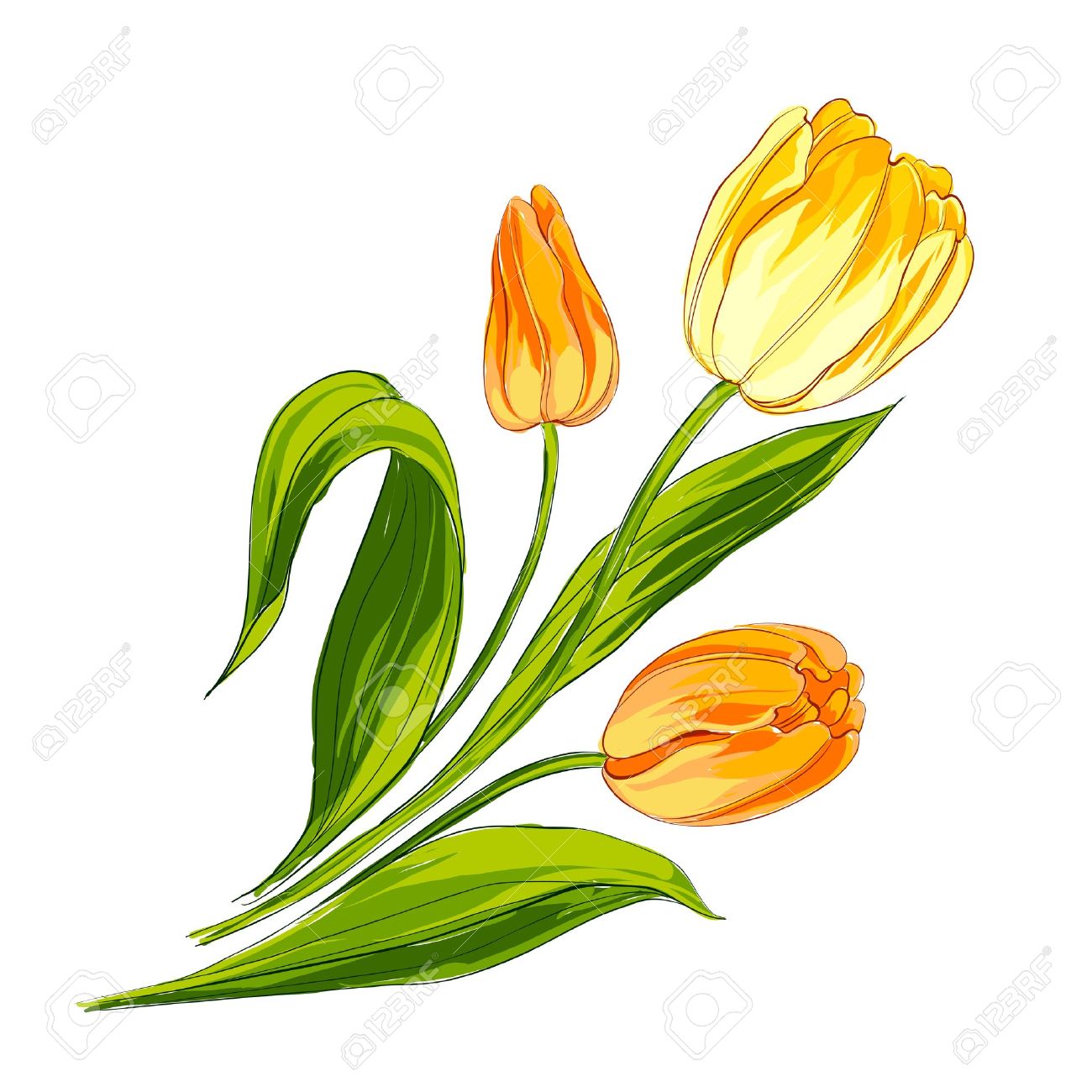Detail Bunga Lily Vector Nomer 41