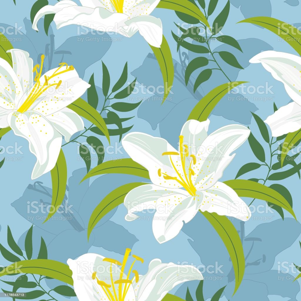 Detail Bunga Lily Vector Nomer 51