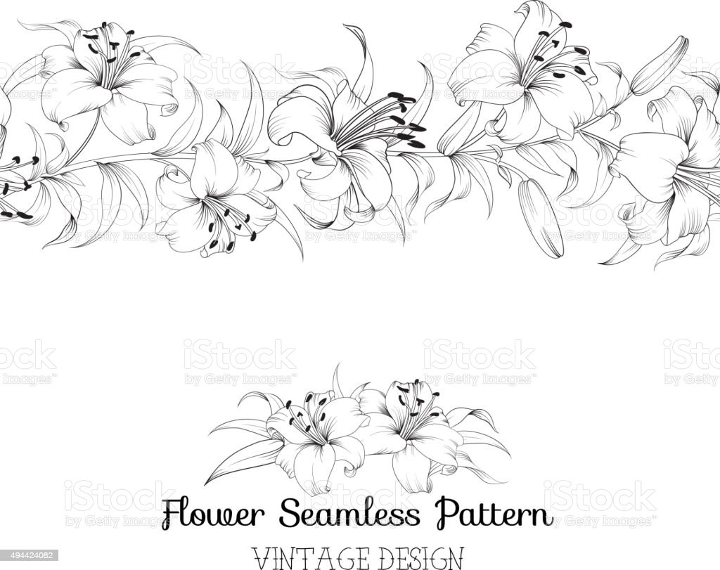 Detail Bunga Lily Vector Nomer 53