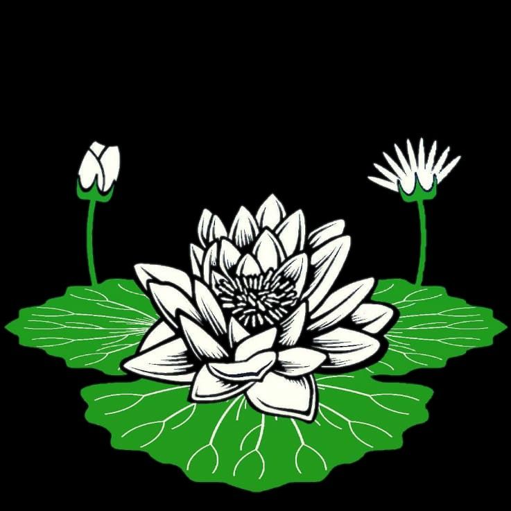 Detail Bunga Lotus Vector Nomer 18