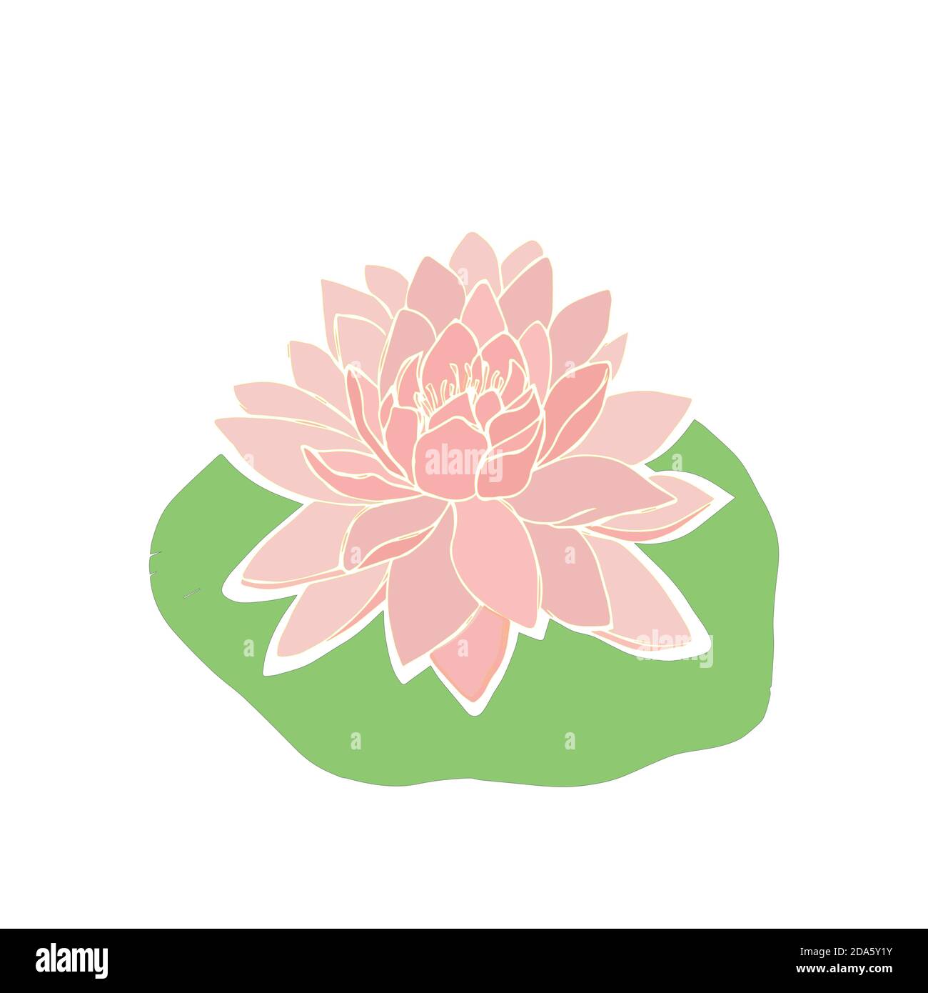 Detail Bunga Lotus Vector Nomer 23