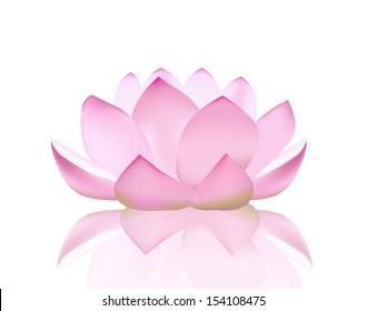 Detail Bunga Lotus Vector Nomer 25