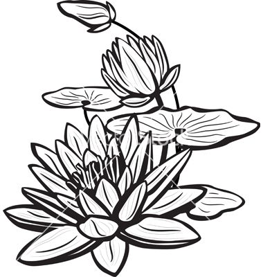 Detail Bunga Lotus Vector Nomer 27