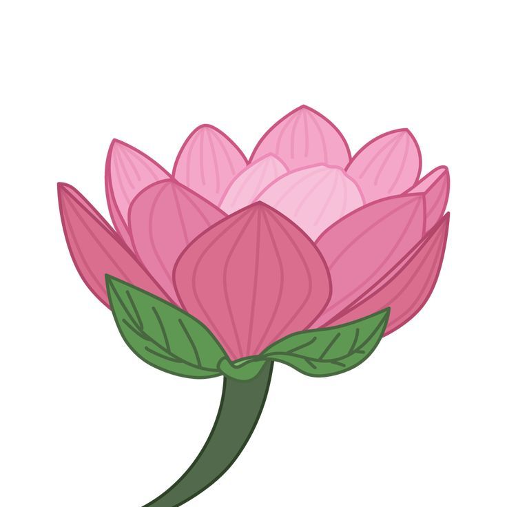 Detail Bunga Lotus Vector Nomer 40