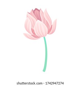 Detail Bunga Lotus Vector Nomer 49