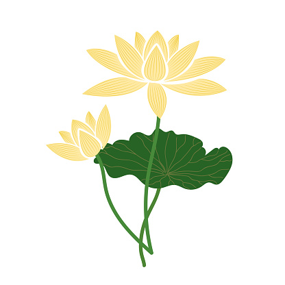 Detail Bunga Lotus Vector Nomer 53