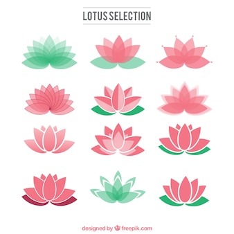 Detail Bunga Lotus Vector Nomer 55