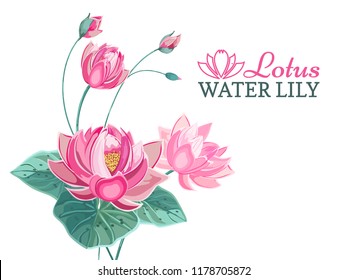 Detail Bunga Lotus Vector Nomer 57