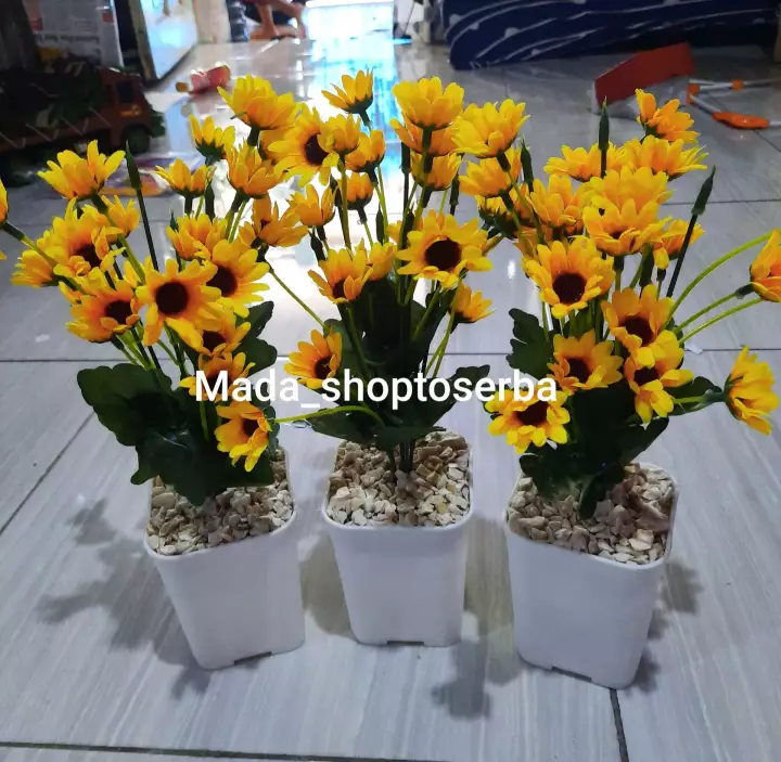 Detail Bunga Matahari Di Pot Nomer 50