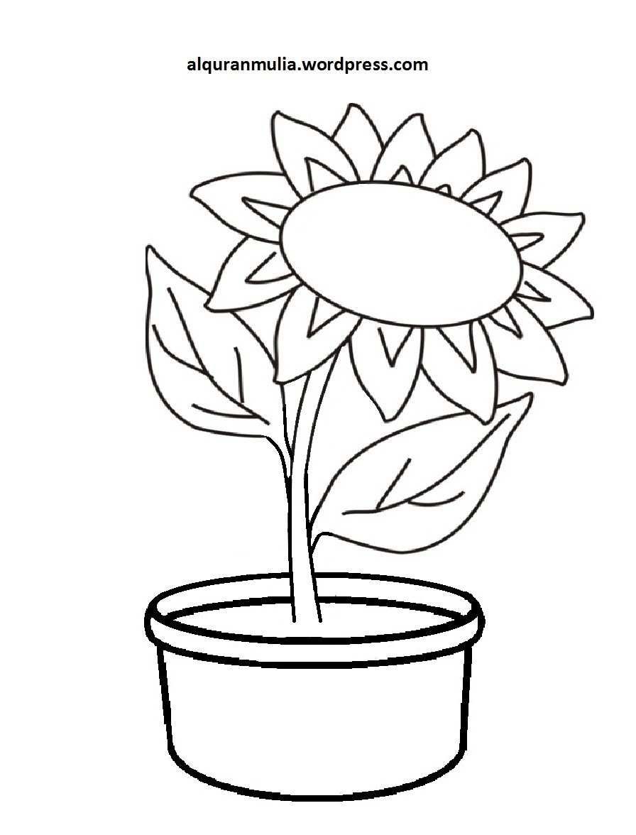 Detail Bunga Matahari Gambar Pensil Nomer 50