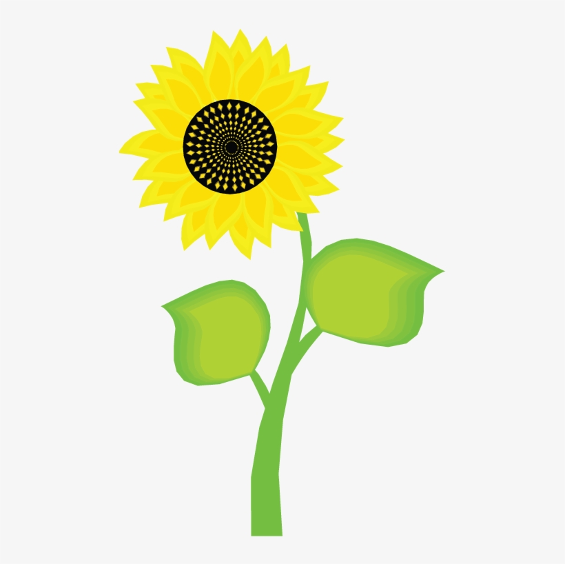 Bunga Matahari Kartun Png - KibrisPDR