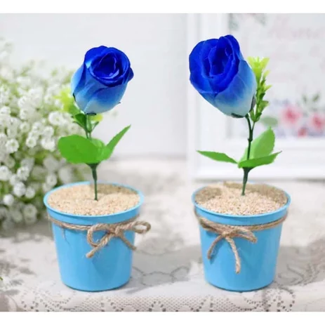 Detail Bunga Mawar Biru Dongker Nomer 27