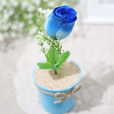 Detail Bunga Mawar Biru Dongker Nomer 57