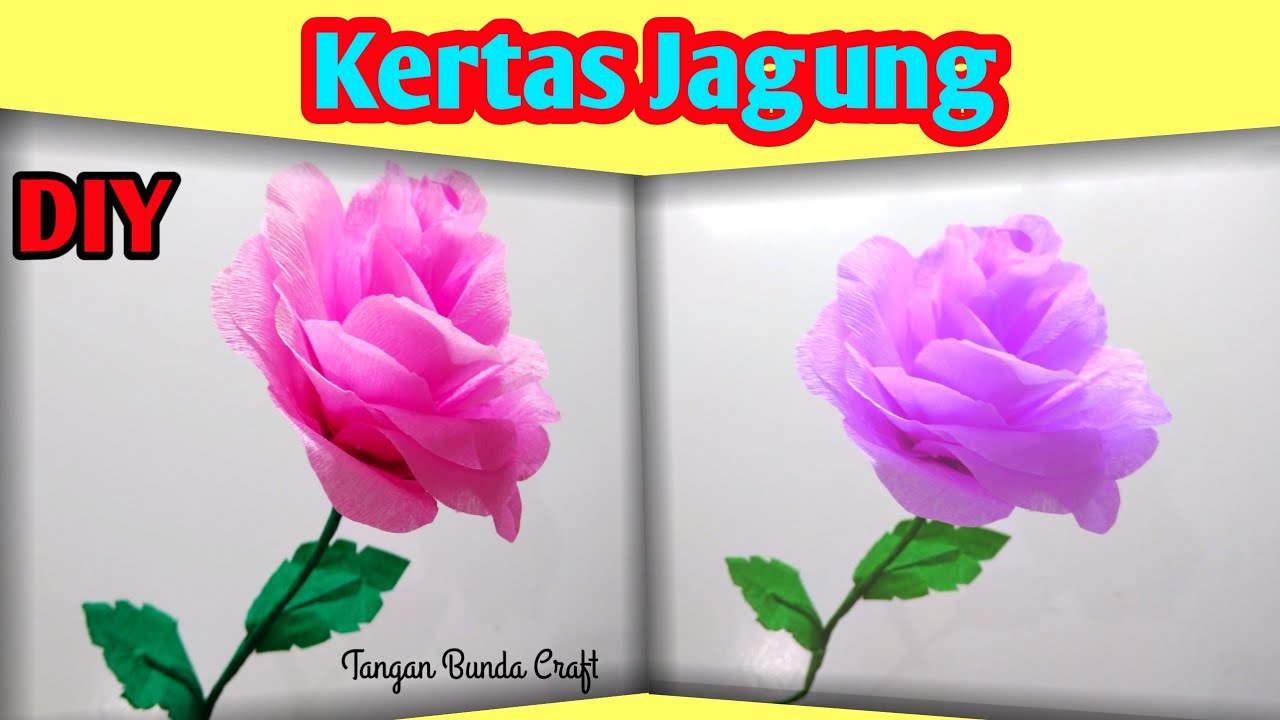 Detail Bunga Mawar Dari Kertas Krep Nomer 43