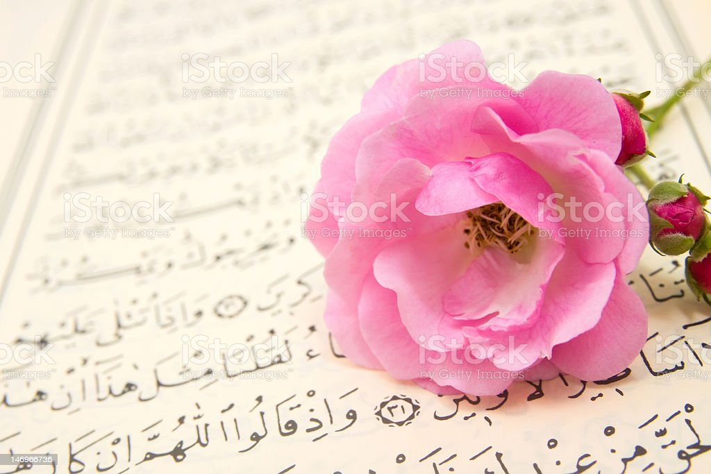 Detail Bunga Mawar Gambar Al Quran Dan Bunga Nomer 25