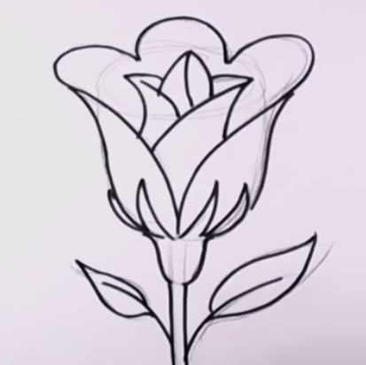 Detail Bunga Mawar Gambar Pensil Nomer 30