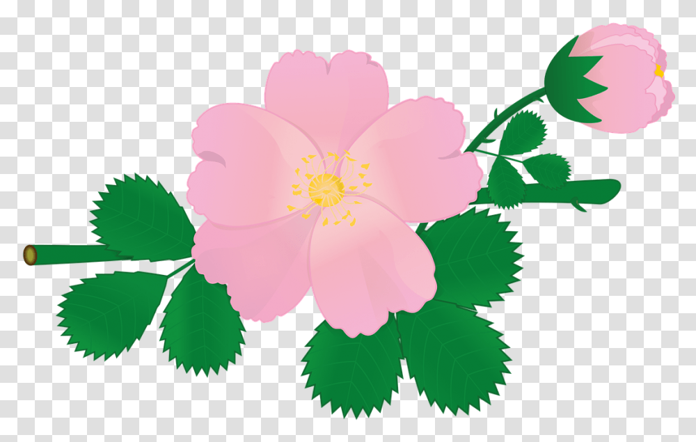 Detail Bunga Mawar Kartun Png Nomer 20