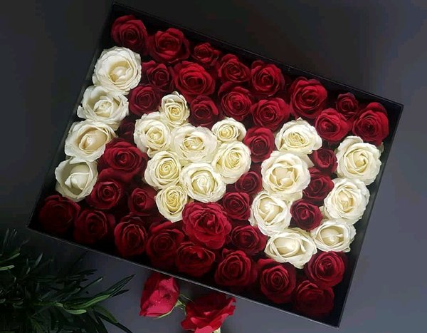 Detail Bunga Mawar Merah Putih Nomer 5