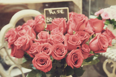 Download Bunga Mawar Pink Muda Nomer 19