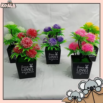 Detail Bunga Mawar Pot Nomer 47