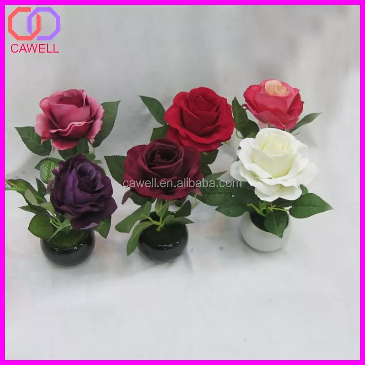 Detail Bunga Mawar Pot Nomer 50
