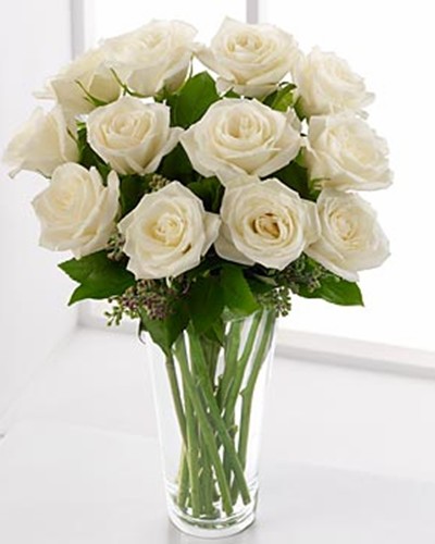 Detail Bunga Mawar Putih Cinta Nomer 50