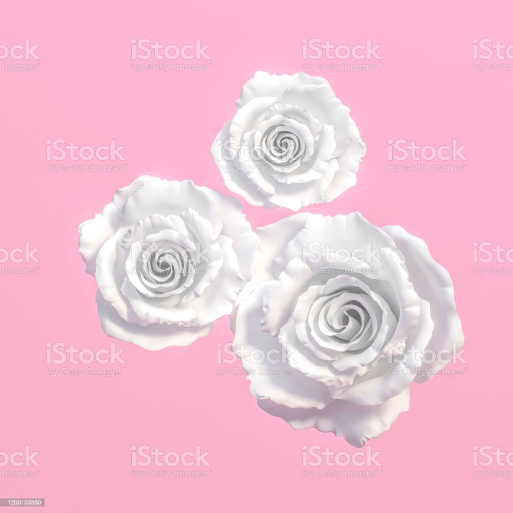 Detail Bunga Mawar Putih Cinta Nomer 51