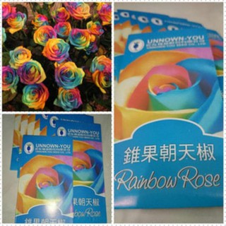 Detail Bunga Mawar Rainbow Nomer 21