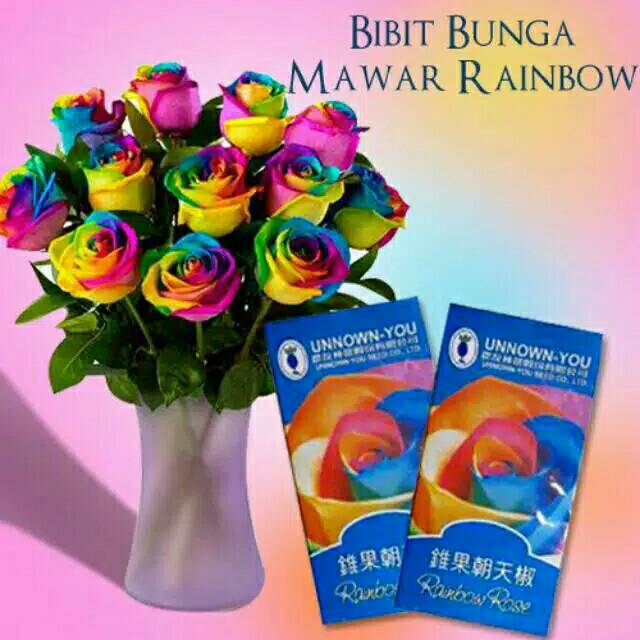 Detail Bunga Mawar Rainbow Nomer 6