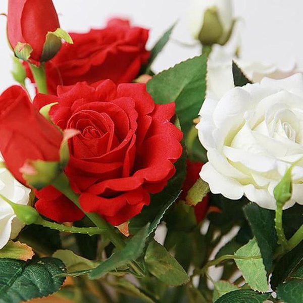 Detail Bunga Mawar Romantis Nomer 43