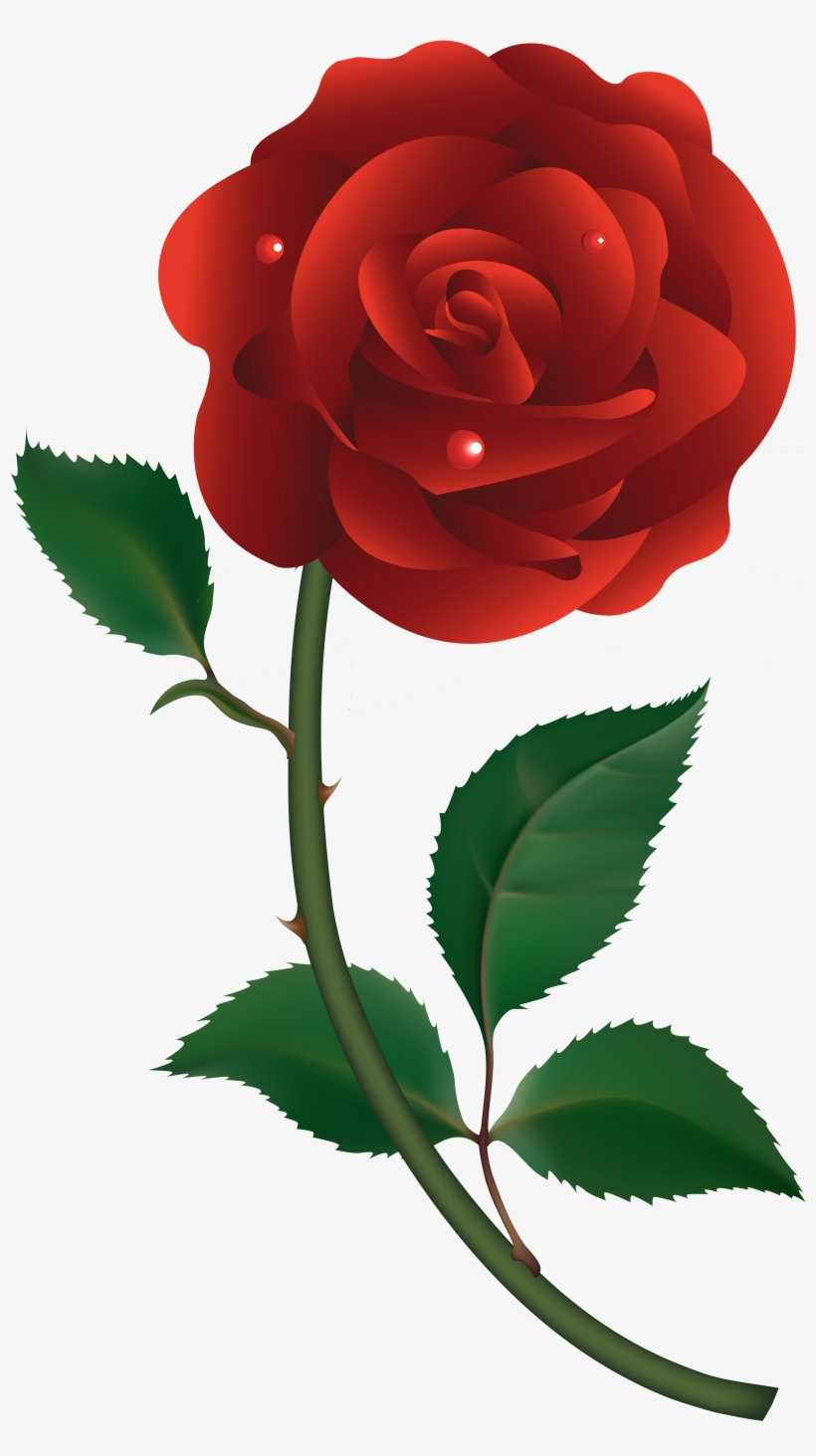 Detail Bunga Mawar Rose Nomer 21