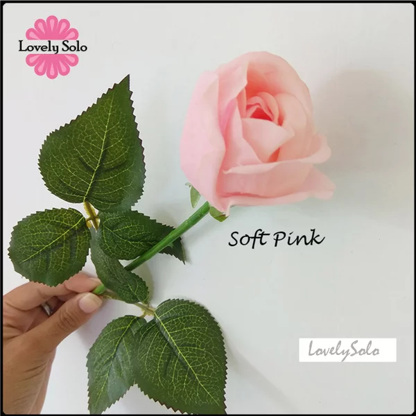 Detail Bunga Mawar Yang Cantik Nomer 37