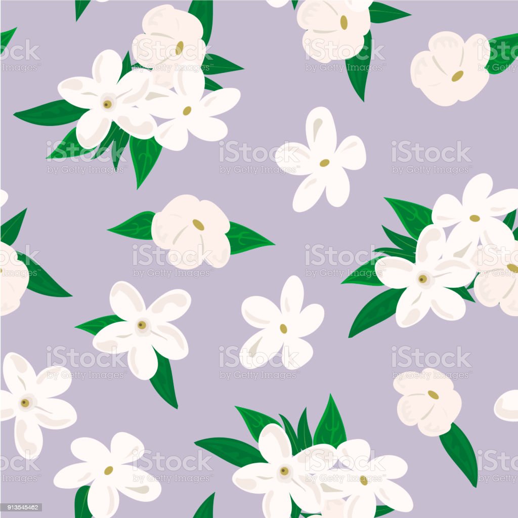 Detail Bunga Melati Vector Nomer 37