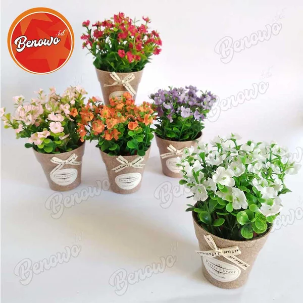 Detail Bunga Mini Dalam Pot Nomer 27