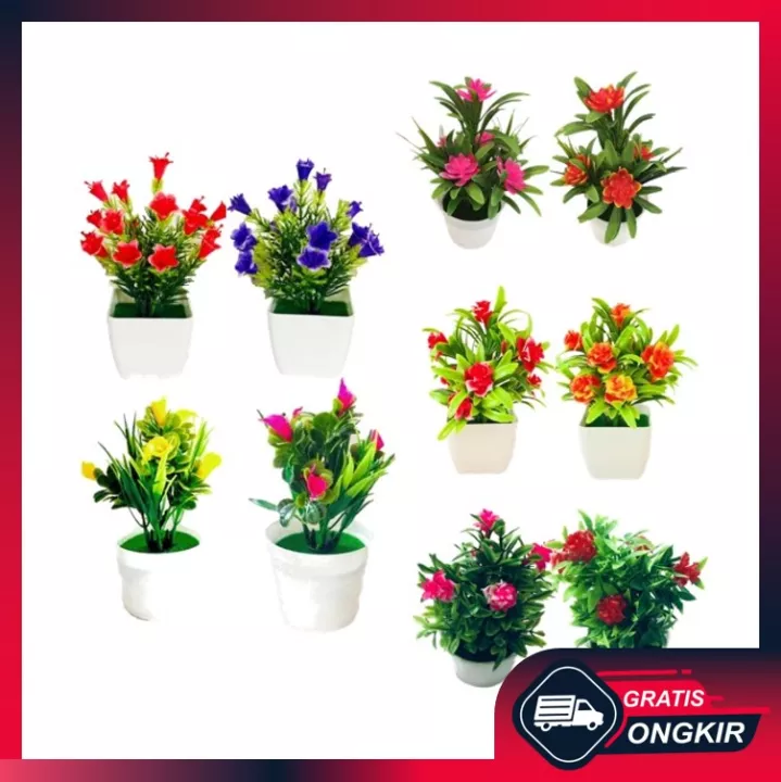 Detail Bunga Mini Dalam Pot Nomer 39