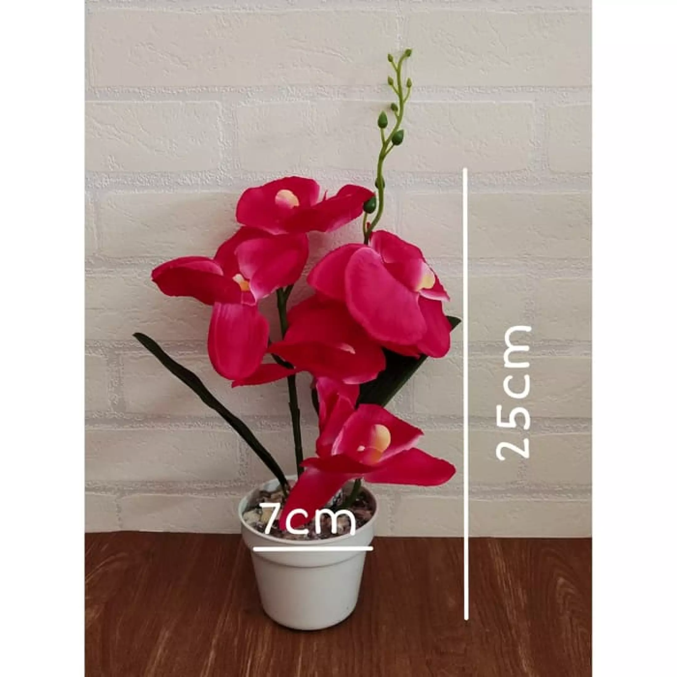Detail Bunga Mini Dalam Pot Nomer 43