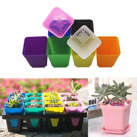 Detail Bunga Mini Dalam Pot Nomer 57