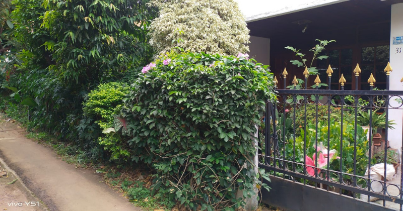 Detail Bunga Pagar Rumah Nomer 32