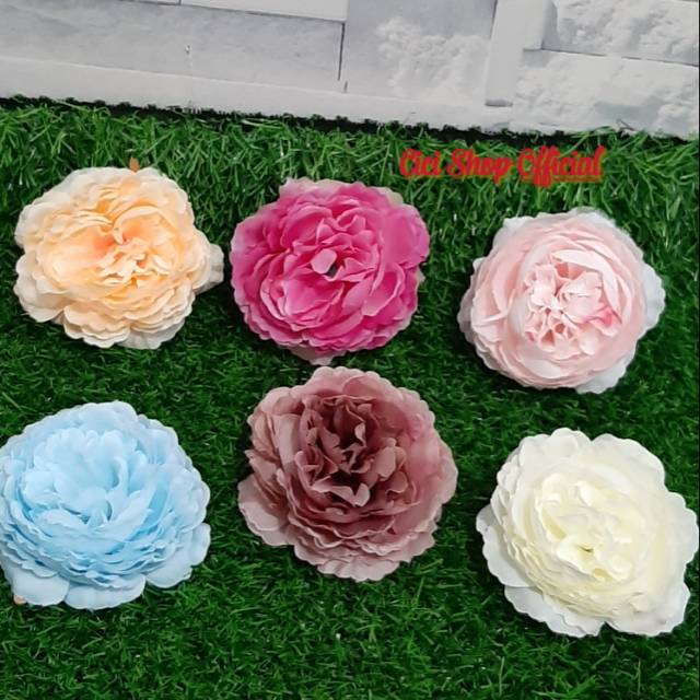 Detail Bunga Peony Nomer 49