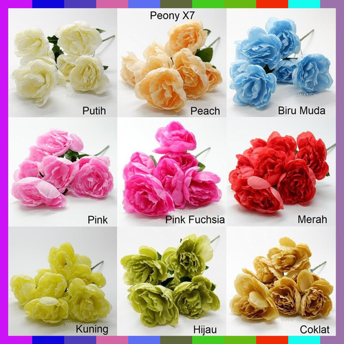 Detail Bunga Peony Nomer 53