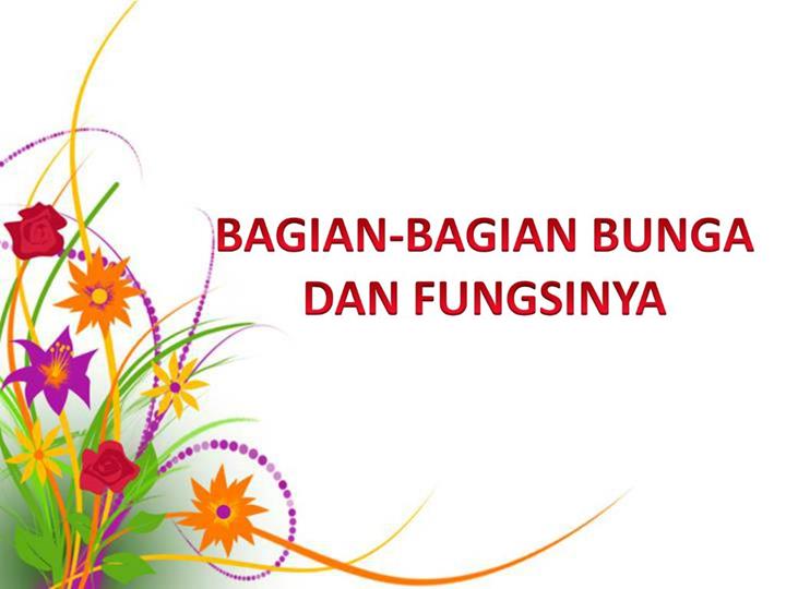 Detail Bunga Ppt Nomer 58