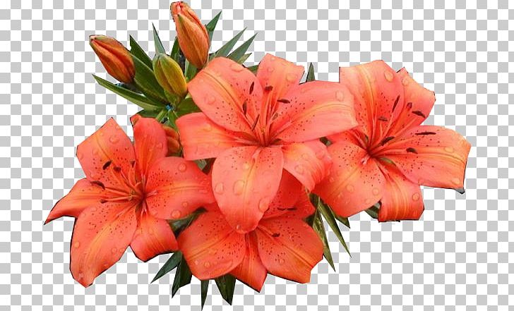 Detail Bunga Psd Nomer 15