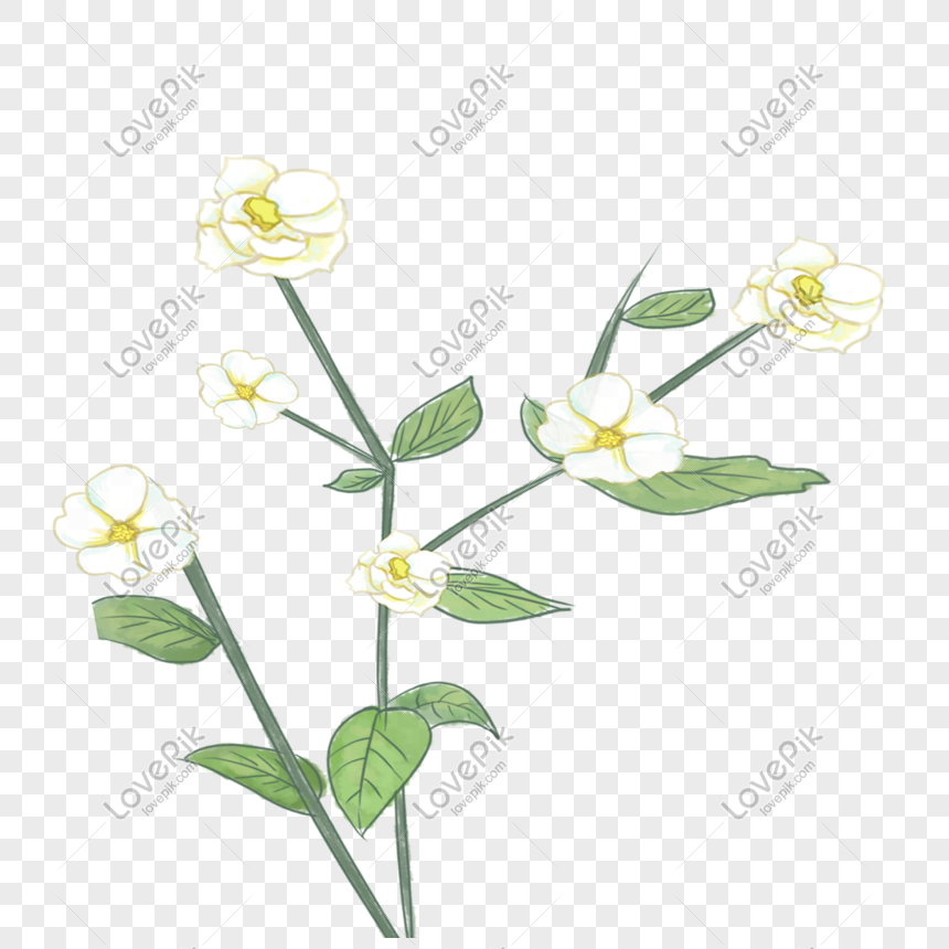 Detail Bunga Putih Kecil Nomer 51