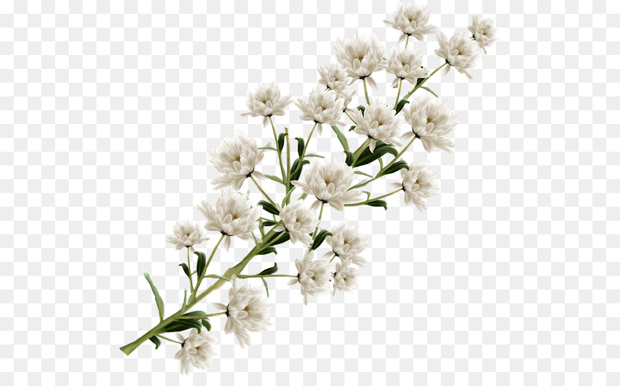 Detail Bunga Putih Png Nomer 15