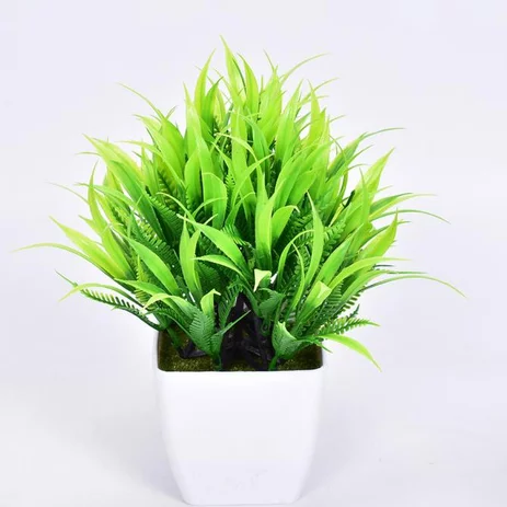 Detail Bunga Rumput Hias Nomer 50
