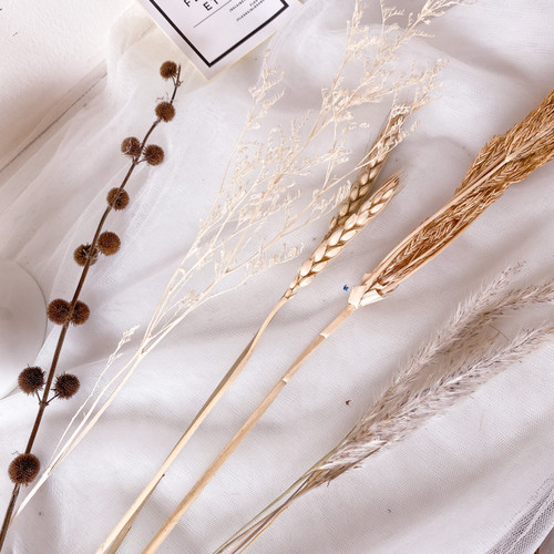 Detail Bunga Rustic Kering Nomer 19