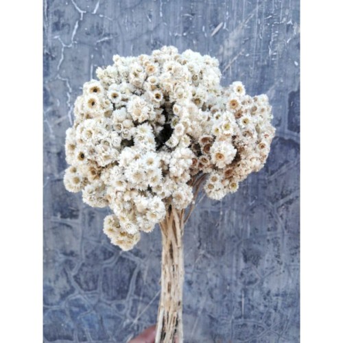 Detail Bunga Rustic Kering Nomer 37